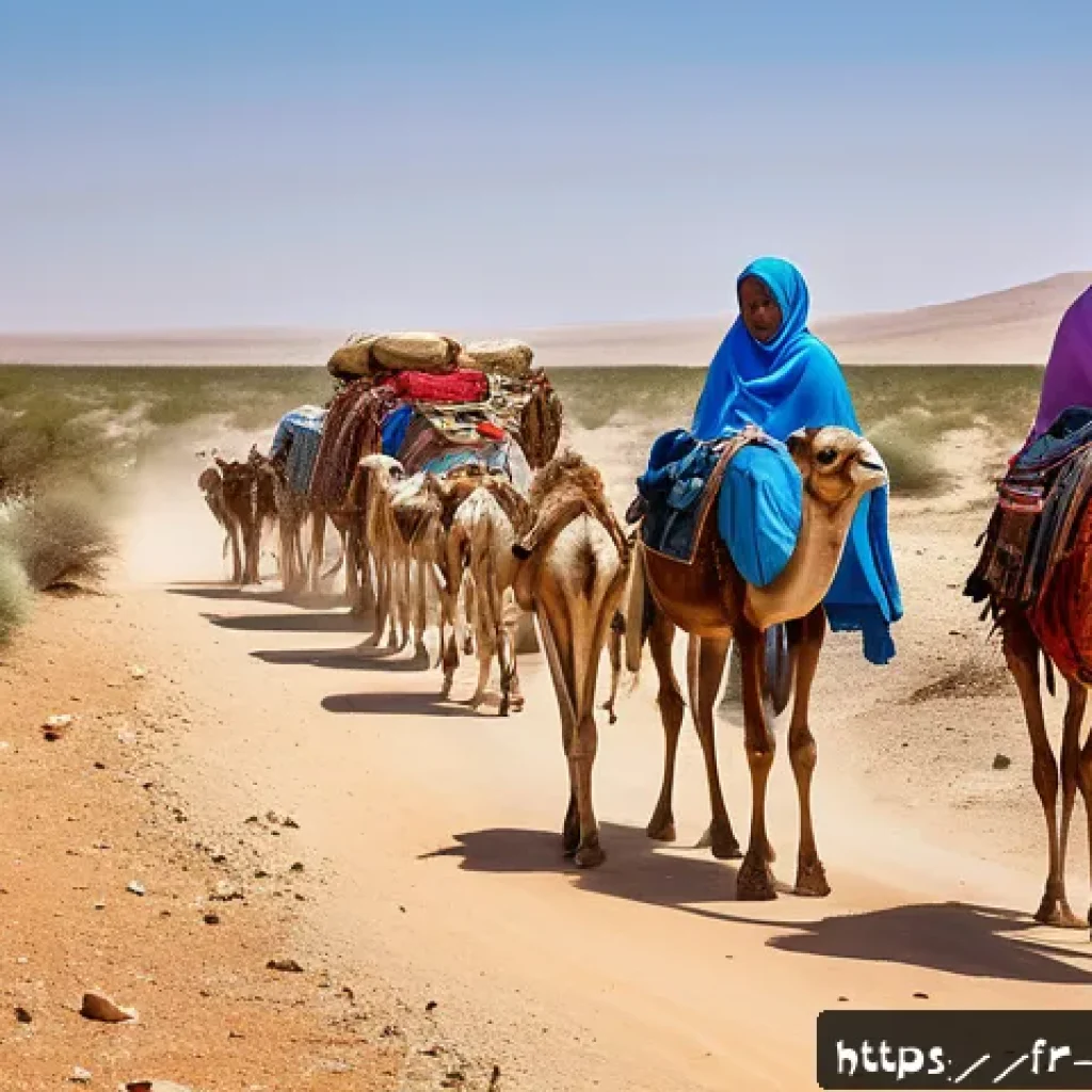 소말릴란드 유목민 생활 방식 - A detailed scene of Somaliland nomadic herders in traditional clothing, skillfully guiding their cam...