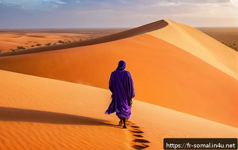 소말릴란드의 관광 산업 전망 - A vast Somaliland desert landscape at sunrise, showcasing expansive golden sand dunes and unique roc...
